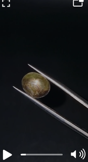 5.79ct 10.9x8.8mm Oval Natural 6 Ray Star Sapphire Unheated