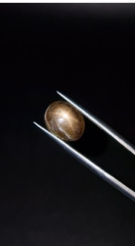 5.72ct 11.5x9.1mm Oval Natural 6 Ray Star Sapphire Unheated