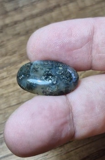 20.00ct 23.8x15.6mm Natural Oval Markazite Hipomo Jasper