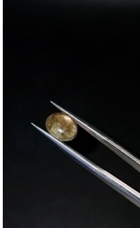 2.64ct 9.8x7.4mm Oval Natural 6 Ray Star Sapphire Unheated