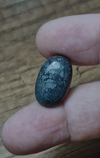 19.35ct 21x13.4mm Natural Oval Markazite Hipomo Jasper