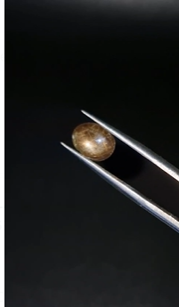 3.43ct 9.5x7.9mm Oval Natural 6 Ray Star Sapphire Unheated