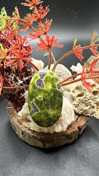 43.40 ct 37.2x22.4 mm Natural Atlantisit