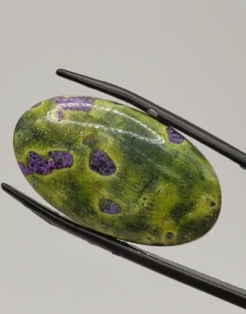 26.60 ct 31.9x18.2 mm Natural Atlantisit