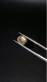 3.55ct 9.2x7.6mm Oval Natural 6 Ray Star Sapphire Unheated