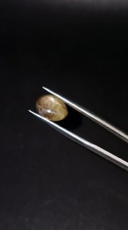 5.00ct 11.2x8.5mm Oval Natural 6 Ray Star Sapphire Unheated