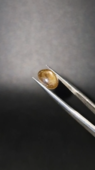 4.44ct 10.6x8.3mm Oval Natural 6 Ray Star Sapphire Unheated