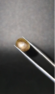 3.69ct 10.5x8mm Oval Natural 6 Ray Star Sapphire Unheated