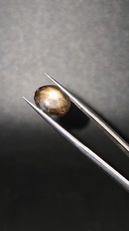 4.83ct 11.6x9.5mm Oval Natural 6 Ray Star Sapphire Unheated