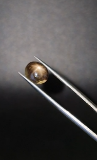 3.00ct 10x8.5mm Oval Natural 6 Ray Star Sapphire Unheated