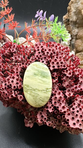 39.75 ct 35.3x22.5 Natural Larsonite