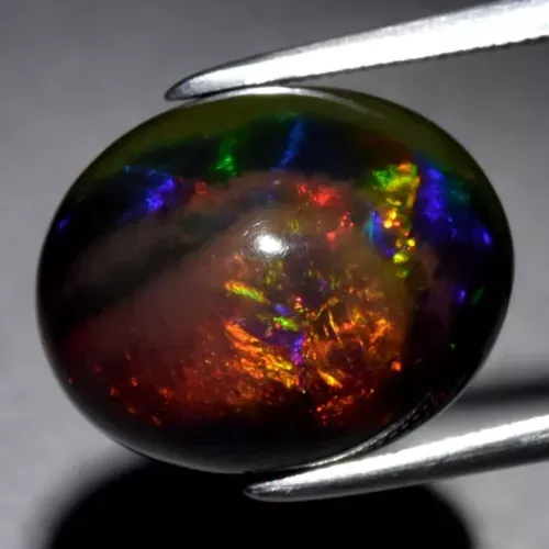 5.77ct 14.5x11.5mm Oval Cabochon Natural Black Opal