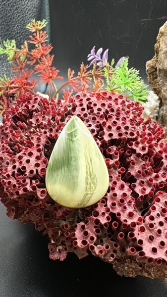 40.25 ct 36.5x23.3 mm Natural Larsonite