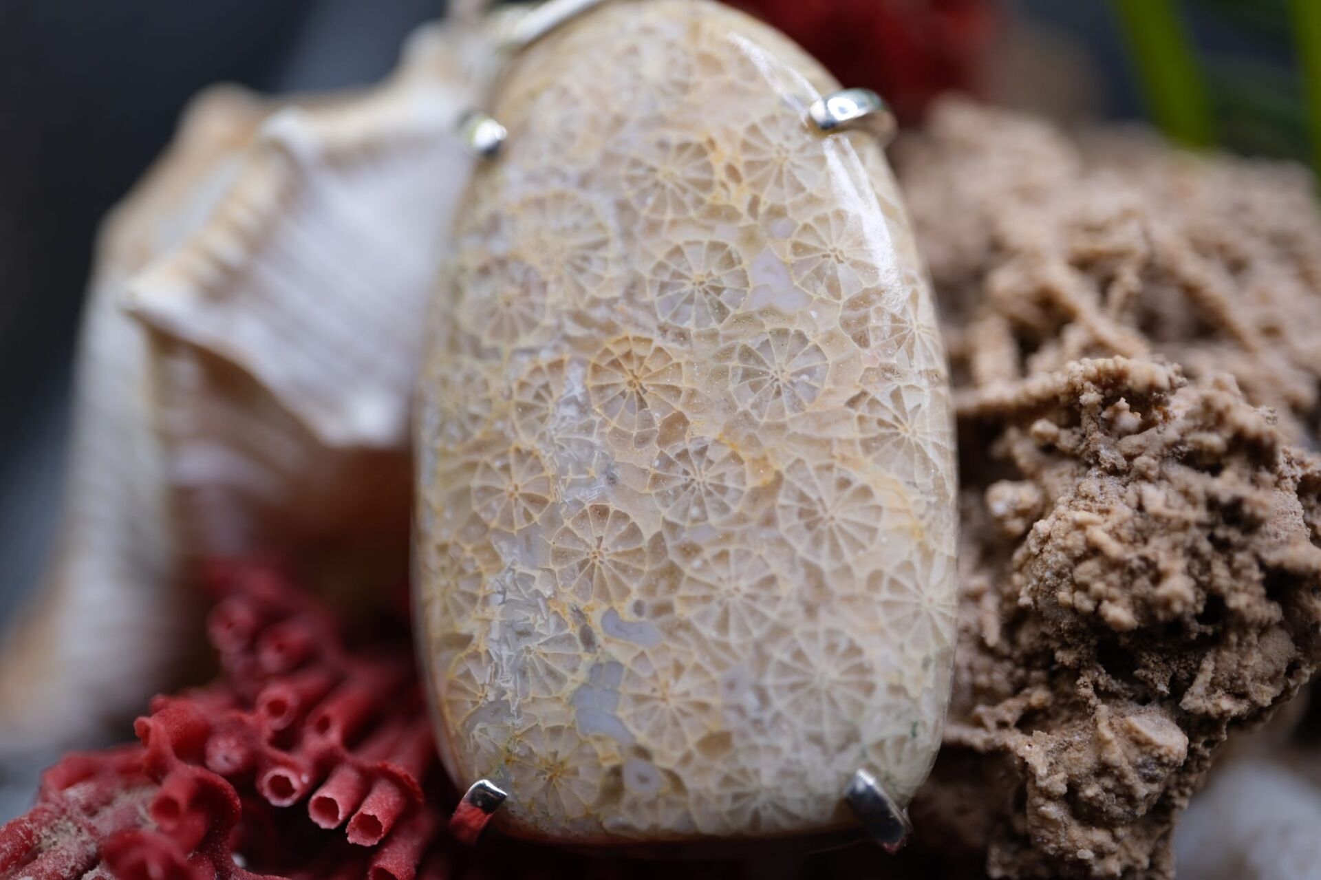 9.60 Gram 925 Ayar Gümüş Natural Fosil  Kolye Ucu