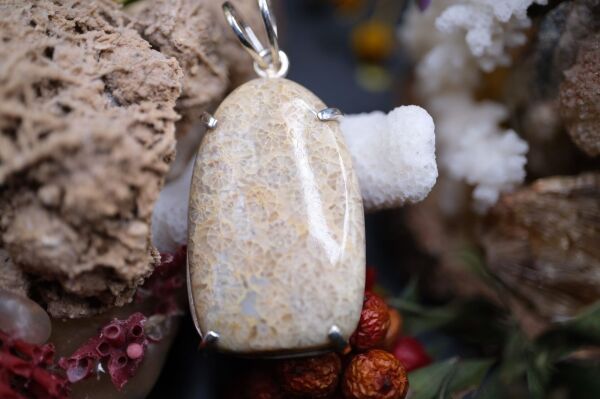 9.60 Gram 925 Ayar Gümüş Natural Fosil  Kolye Ucu