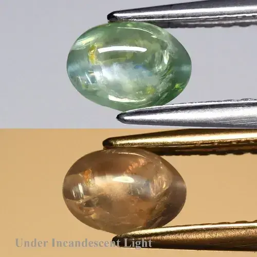 0.67ct Oval Cabochon Natural Green Cat's Eye Alexandrite - Sri-Lanka Gem