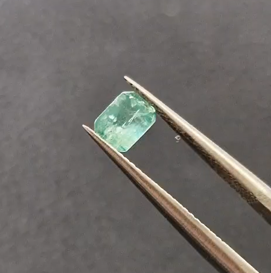 0.60ct 4.8x3.5mm Octagon Natural Emerald Zambia