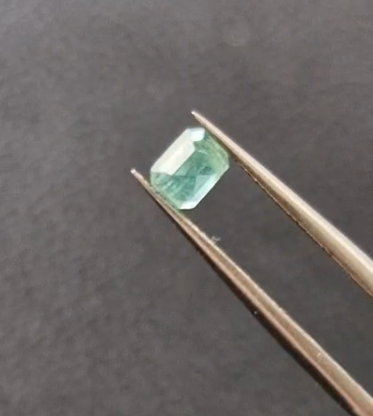 0.60ct 4.8x3.5mm Octagon Natural Emerald Zambia