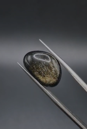 9.05ct 18x12mm Natural Fancy Altın Yansımalı Obsidyen