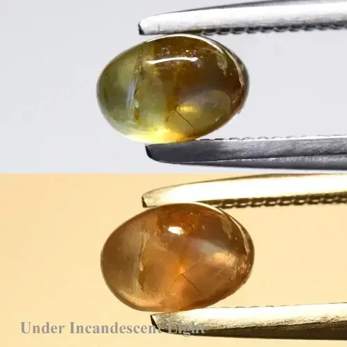 0.57ct Oval Natural Greenish Yellow Cat's Eye Alexandrite - Tanzania Gem