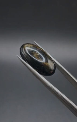 12.25ct 22.2x11.7mm  Natural Oval Bakır Yansımalı Obsidyen