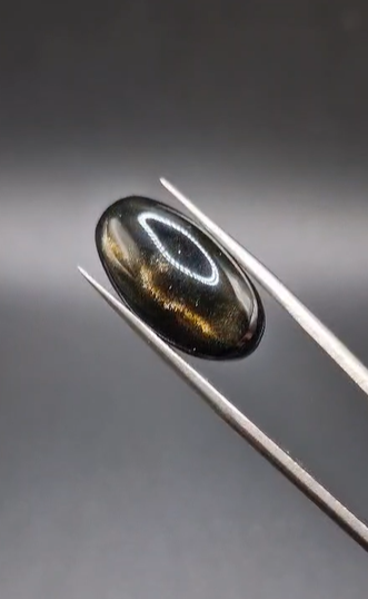 12.25ct 22.2x11.7mm  Natural Oval Bakır Yansımalı Obsidyen