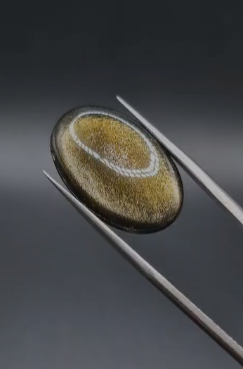 10.55ct 23.2x14.9mm  Natural Oval Altın Yansımalı Obsidyen