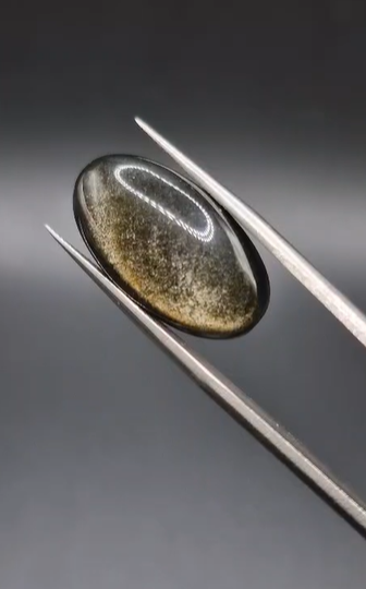 11.75ct 23.4x12.3mm  Natural Oval Altın Yansımalı Obsidyen