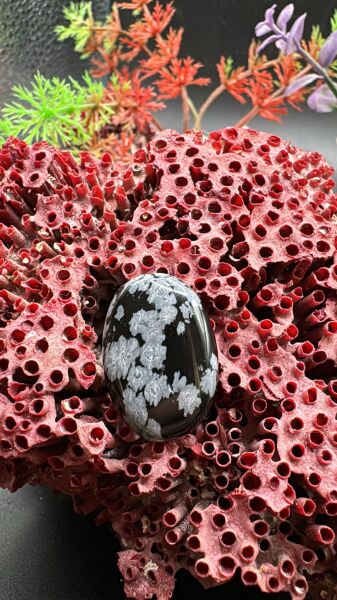 14.15 ct 23.2x16.1 mm Natural Snowflake Obsidiyen