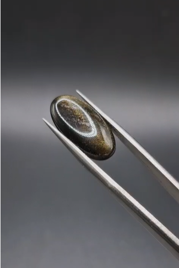 5.35ct 18.9x10.2mm  Natural  Oval Altın Yansımalı Obsidyen