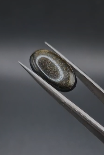 8.75ct 20.3x12.5mm  Natural  Oval Altın Yansımalı Obsidyen