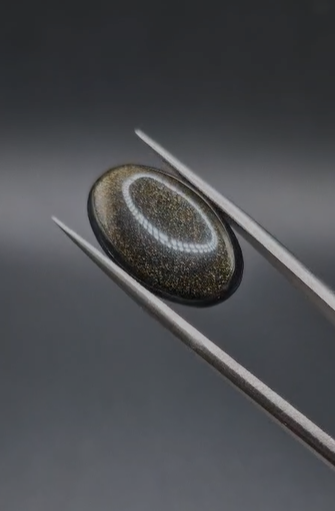 8.75ct 20.3x12.5mm  Natural  Oval Altın Yansımalı Obsidyen