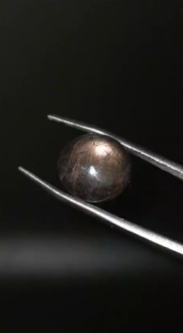 14.15ct 14.2x13.2mm Natural Star Sapphire