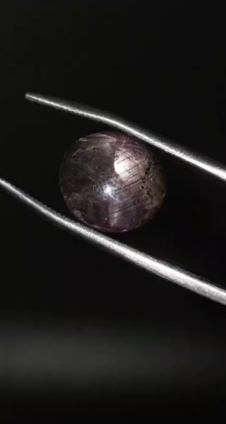 14.25ct 13.1x11.8mm Natural Oval Star Sapphire