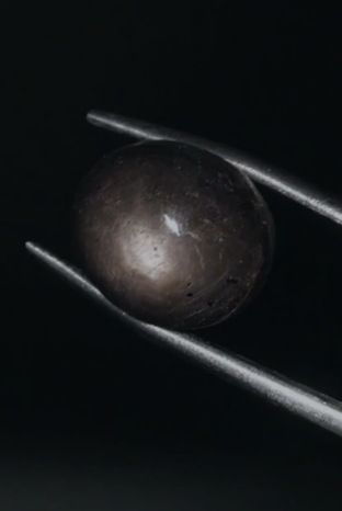 16 35ct 13.4x11.6mm Natural Oval Star Sapphire