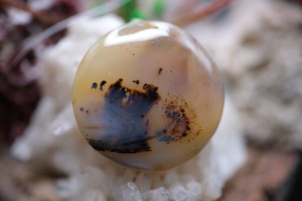 18.00ct 23.2mm Natural Montena Agate