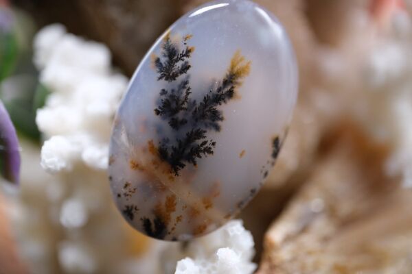 22.45ct 28.5x18.4mm Natural Dentric Agate